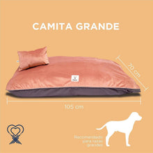 Load image into Gallery viewer, Camita Grande