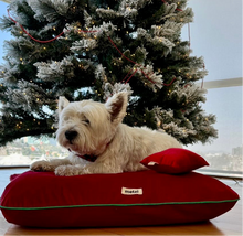 Cargar imagen en el visor de la galería, Fundas Colección Navideña