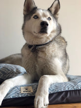 Load image into Gallery viewer, Camita Grande