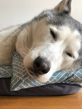 Load image into Gallery viewer, Camita Grande