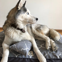 Load image into Gallery viewer, Camita Grande