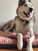 Load image into Gallery viewer, Camita Grande