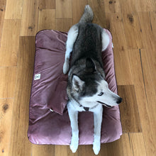 Load image into Gallery viewer, Camita Grande