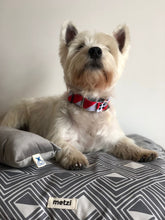 Load image into Gallery viewer, Camita Chica